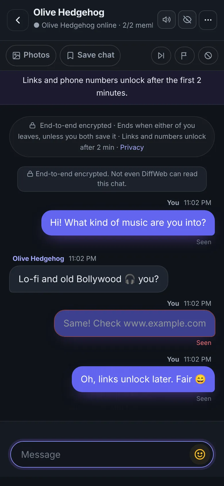 An anonymous chat on DiffWeb, with links blocked for the first two minutes