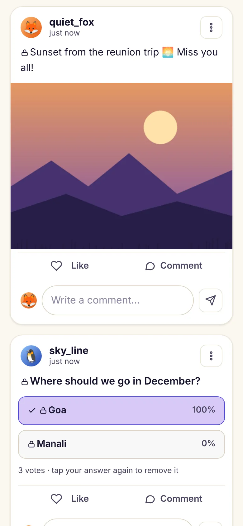 A private circle feed on DiffWeb with a photo post and a poll